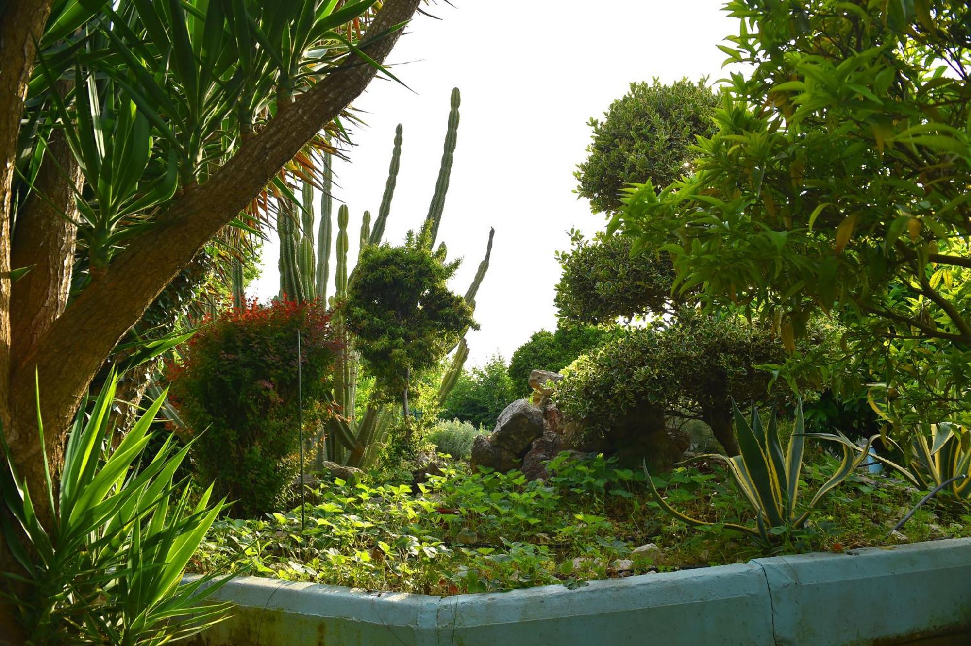 Villa Elpida 卡纳里奥 外观 照片