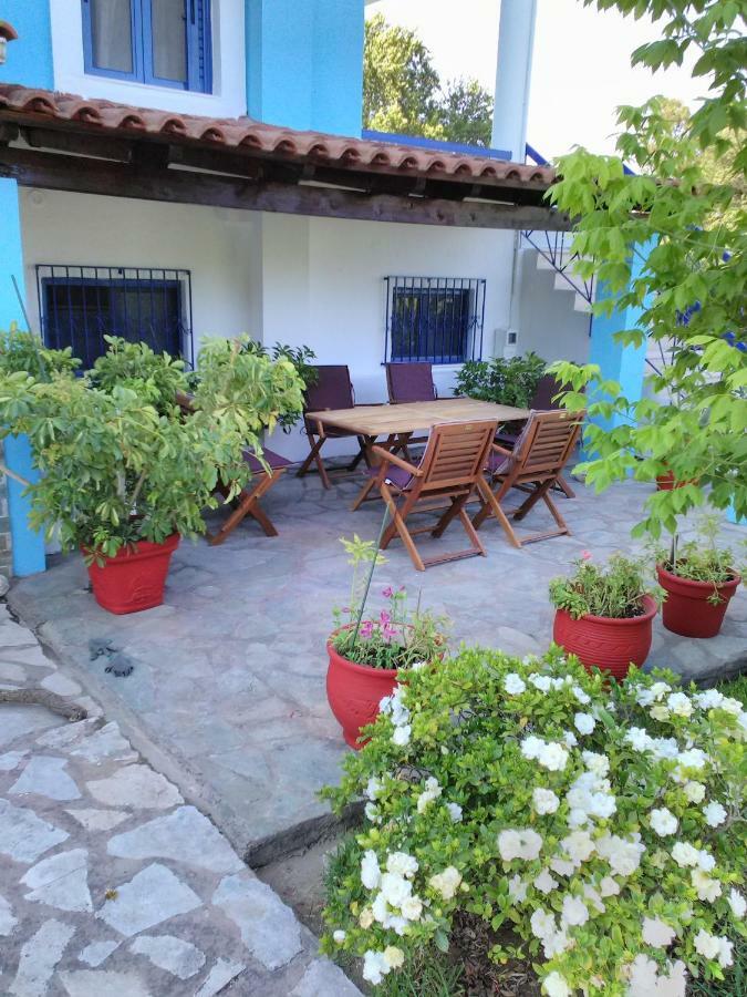 Villa Elpida 卡纳里奥 外观 照片