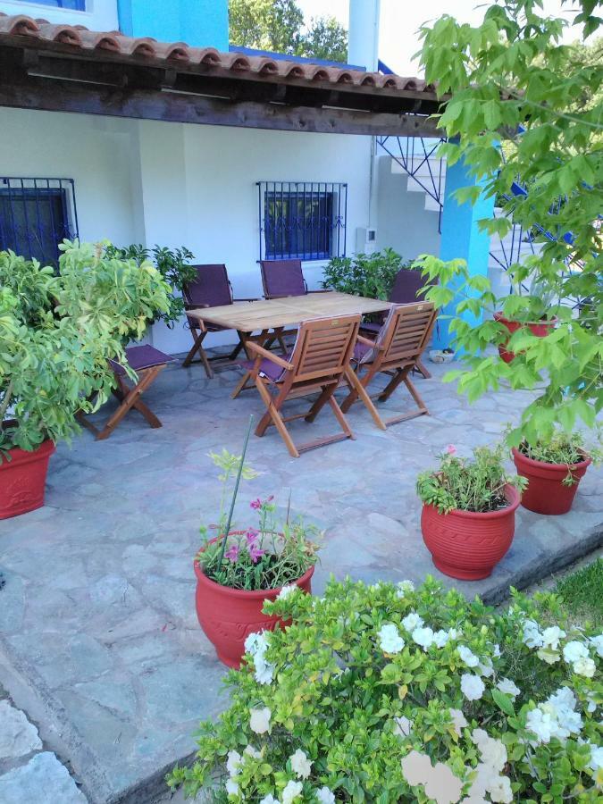 Villa Elpida 卡纳里奥 外观 照片